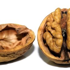 Going Plant-Based to Protect Your Brain